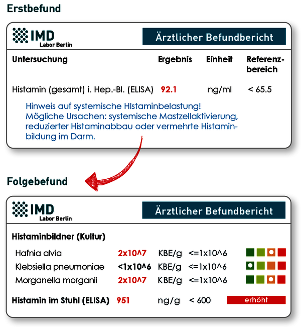 Ursachendiagnostik bei erhöhten Histmaninspiegeln im Blut